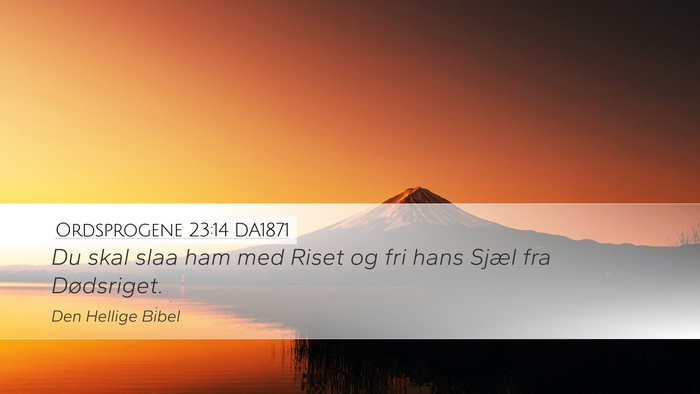 Ordsprogene 23:14 DA1871 Bible Verse Image