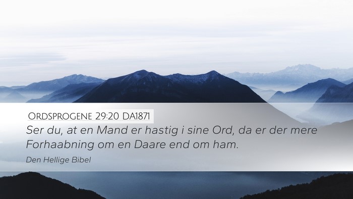 Ordsprogene 29:20 DA1871 Bible Verse Image