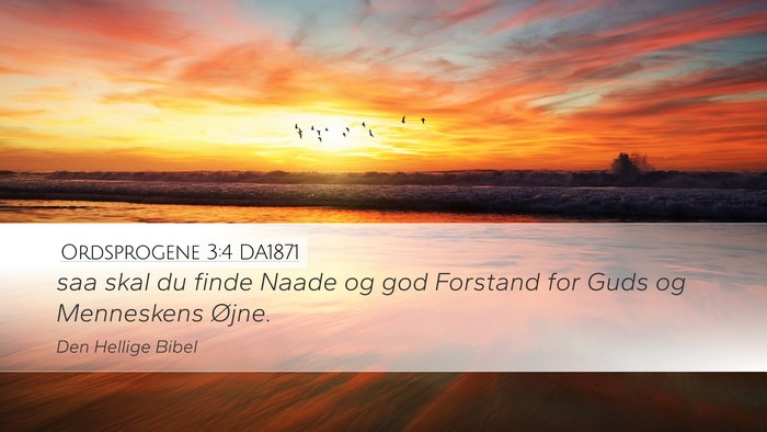 Ordsprogene 3:4 DA1871 Bible Verse Image
