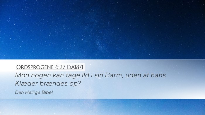 Ordsprogene 6:27 DA1871 Desktop Wallpaper - Mon nogen kan tage Ild i sin Barm, uden at hans - Desktop Bible Verse Wallpaper