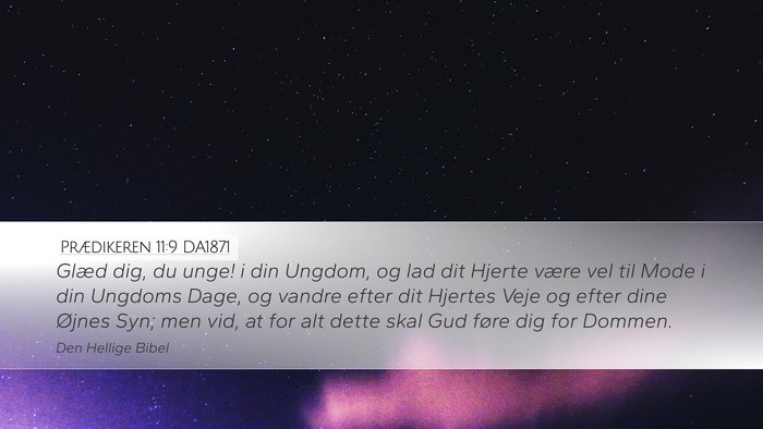 Prædikeren 11:9 DA1871 Bible Verse Image