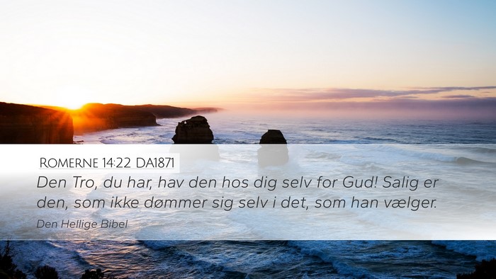 Romerne 14:22 DA1871 Bible Verse Image