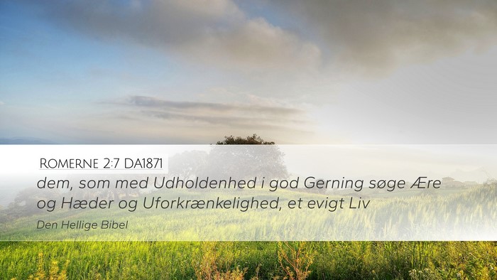 Romerne 2:7 DA1871 Bible Verse Image