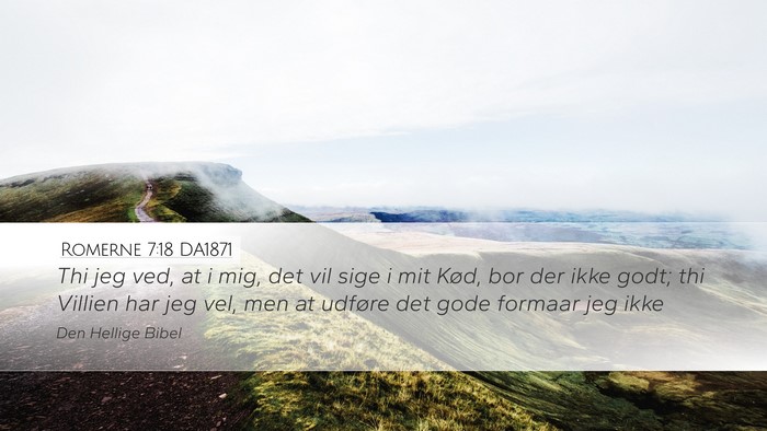 Romerne 7:18 DA1871 Bible Verse Image