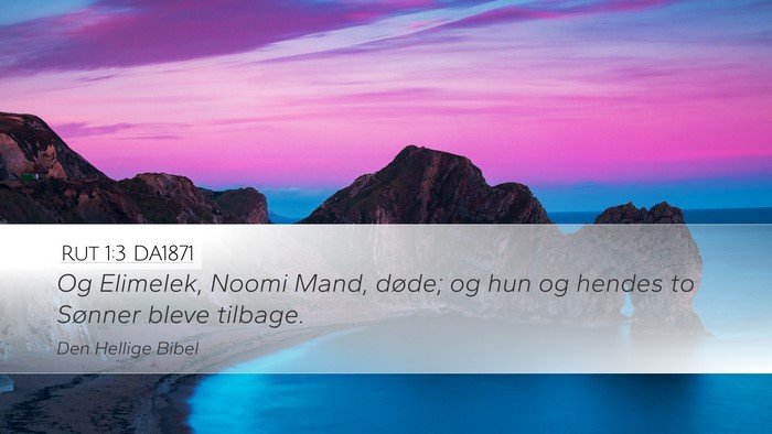 Rut 1:3 DA1871 Desktop Wallpaper - Og Elimelek, Noomi Mand, døde; og hun og hendes - Desktop Bible Verse Wallpaper