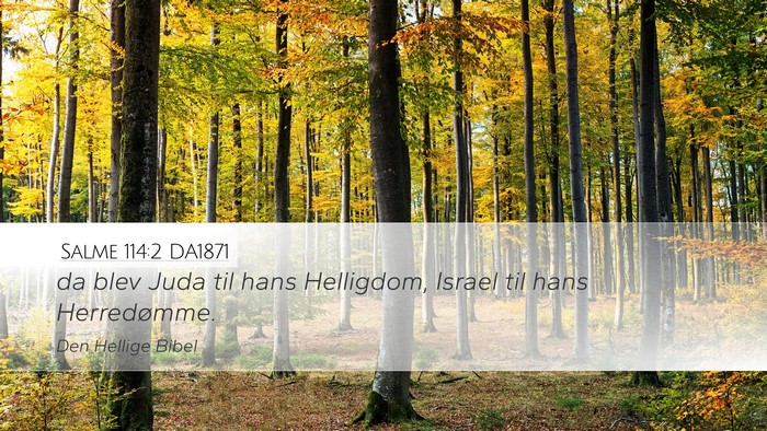 Salme 114:2 DA1871 Desktop Wallpaper - da blev Juda til hans Helligdom, Israel til hans - Desktop Bible Verse Wallpaper