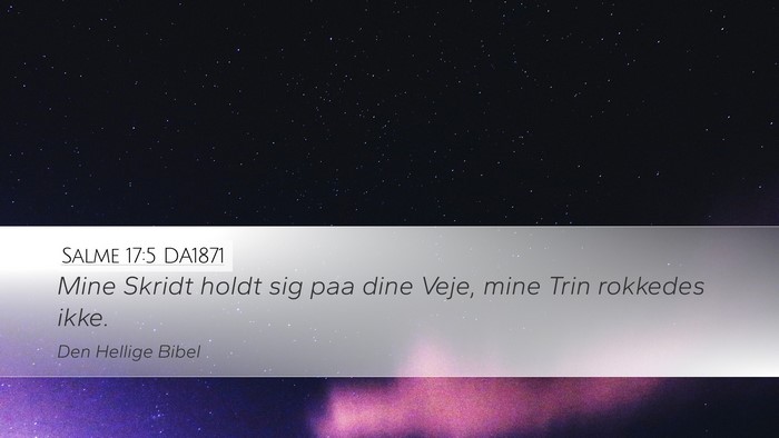 Salme 17:5 DA1871 Desktop Wallpaper - Mine Skridt holdt sig paa dine Veje, mine Trin - Desktop Bible Verse Wallpaper