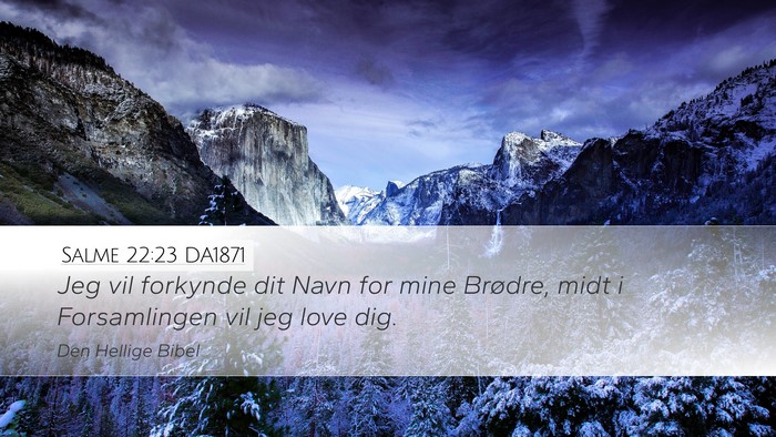 Salme 22:23 DA1871 Bible Verse Image