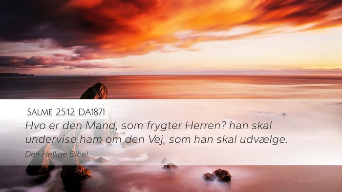 Salme 25:12 DA1871 Bible Verse Image
