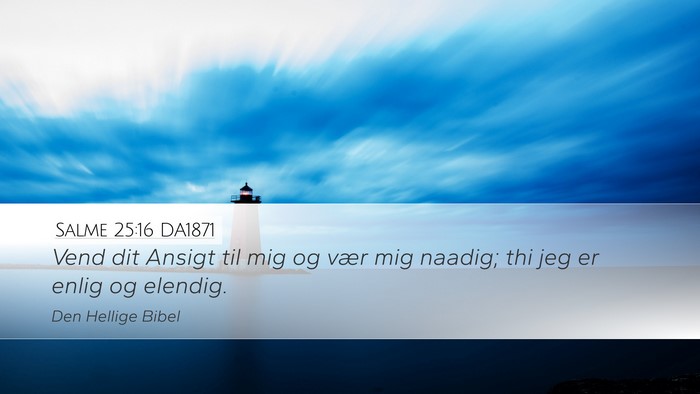 Salme 25:16 DA1871 Bible Verse Image