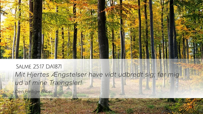 Salme 25:17 DA1871 Bible Verse Image