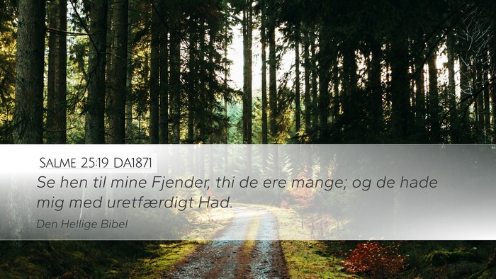 Salme 25:19 DA1871 Bible Verse Image