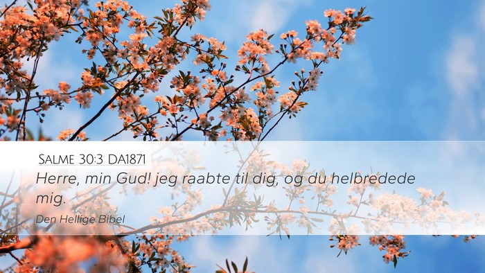 Salme 30:3 DA1871 Bible Verse Image