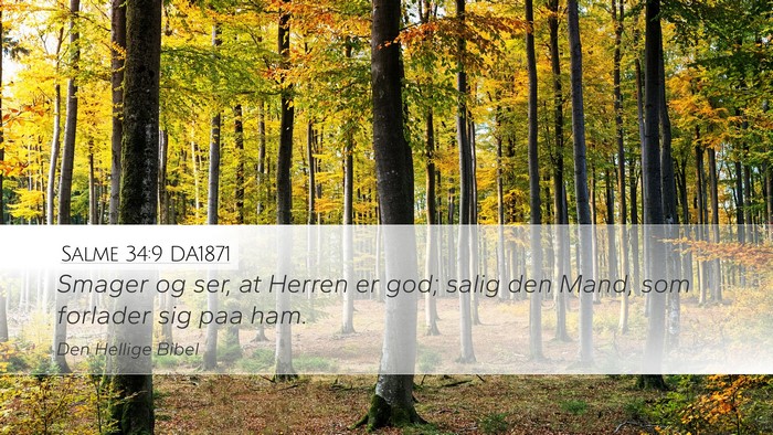 Salme 34:9 DA1871 Bible Verse Image