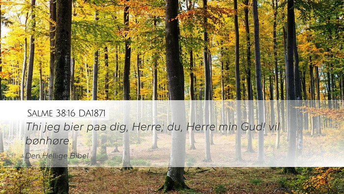 Salme 38:16 DA1871 Bible Verse Image