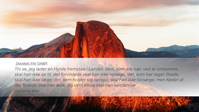 Zakarias 11:16 DA1871 Bible Verse Image