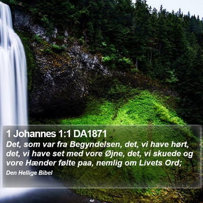 1 Johannes 1:1 DA1871 Bible Verse Image