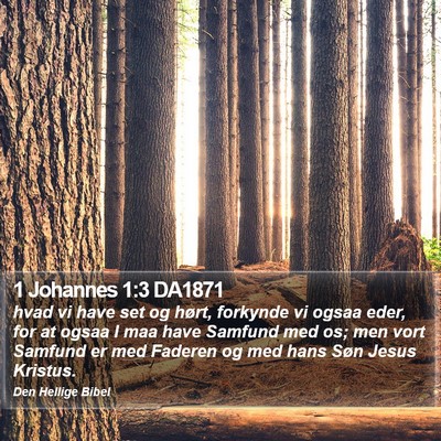 1 Johannes 1:3 DA1871 Bible Verse Image