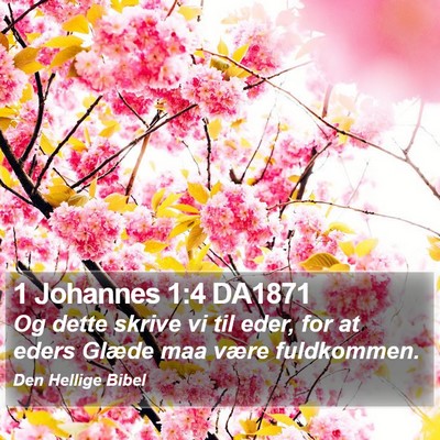 1 Johannes 1:4 DA1871 Bible Verse Image