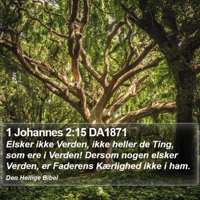 1 Johannes 2:15 DA1871 Bible Verse Image