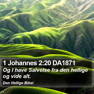 1 Johannes 2:20 DA1871 Bible Verse Image