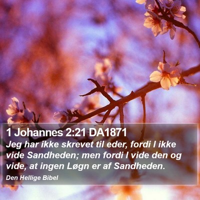 1 Johannes 2:21 DA1871 Bible Verse Image