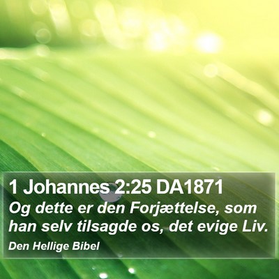 1 Johannes 2:25 DA1871 Bible Verse Image