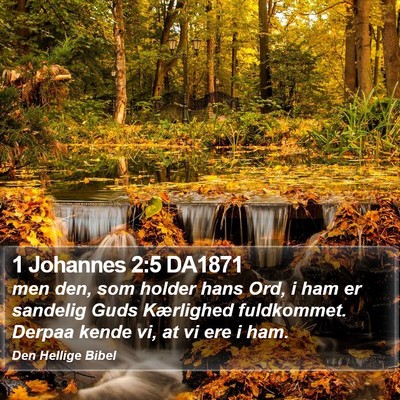 1 Johannes 2:5 DA1871 Bible Verse Image