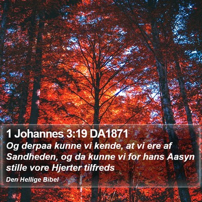 1 Johannes 3:19 DA1871 Bible Verse Image