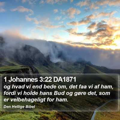 1 Johannes 3:22 DA1871 Bible Verse Image
