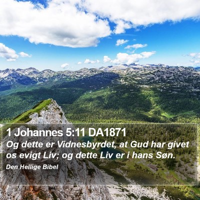 1 Johannes 5:11 DA1871 Bible Verse Image