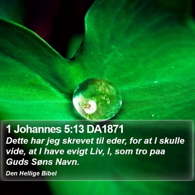 1 Johannes 5:13 DA1871 Bible Verse Image