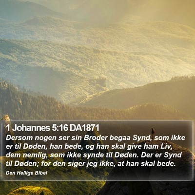 1 Johannes 5:16 DA1871 Bible Verse Image