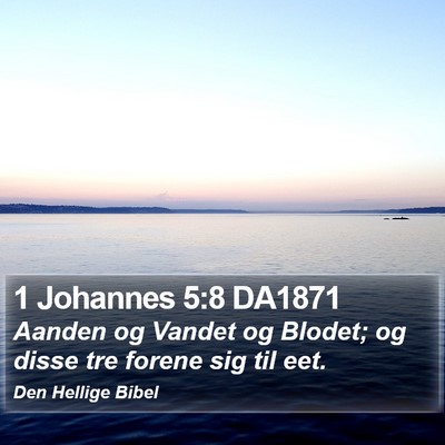 1 Johannes 5:8 DA1871 Bible Verse Image