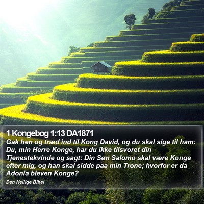 1 Kongebog 1:13 DA1871 Bible Verse Image