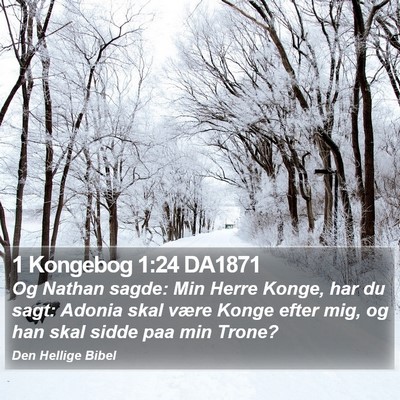 1 Kongebog 1:24 DA1871 Bible Verse Image