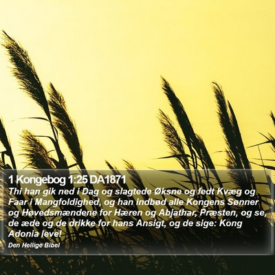 1 Kongebog 1:25 DA1871 Bible Verse Image