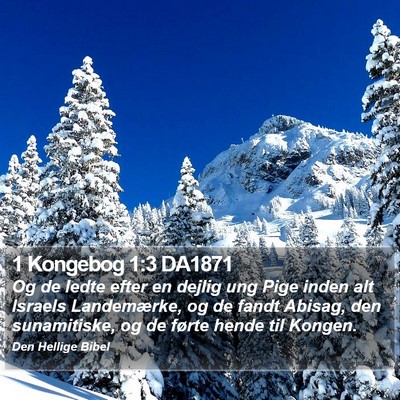1 Kongebog 1:3 DA1871 Bible Verse Image