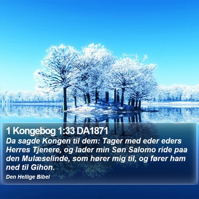 1 Kongebog 1:33 DA1871 Bible Verse Image