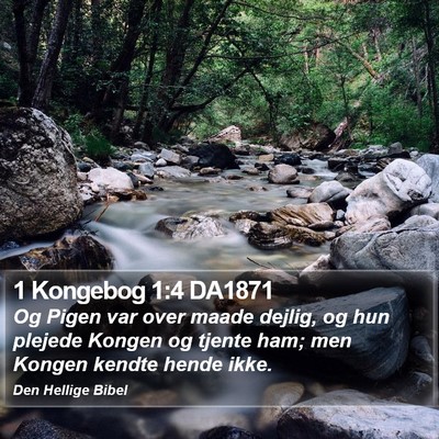 1 Kongebog 1:4 DA1871 Bible Verse Image