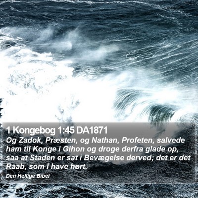 1 Kongebog 1:45 DA1871 Bible Verse Image