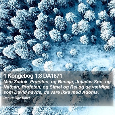 1 Kongebog 1:8 DA1871 Bible Verse Image