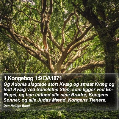 1 Kongebog 1:9 DA1871 Bible Verse Image