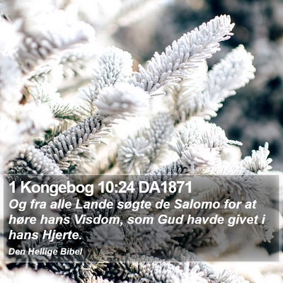 1 Kongebog 10:24 DA1871 Bible Verse Image