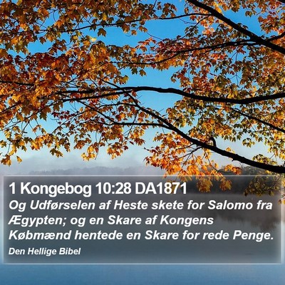 1 Kongebog 10:28 DA1871 Bible Verse Image