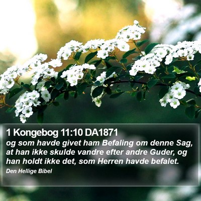 1 Kongebog 11:10 DA1871 Bible Verse Image