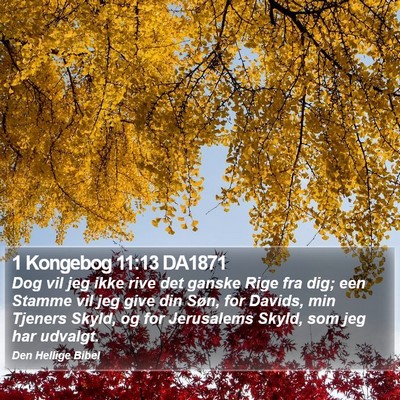 1 Kongebog 11:13 DA1871 Bible Verse Image