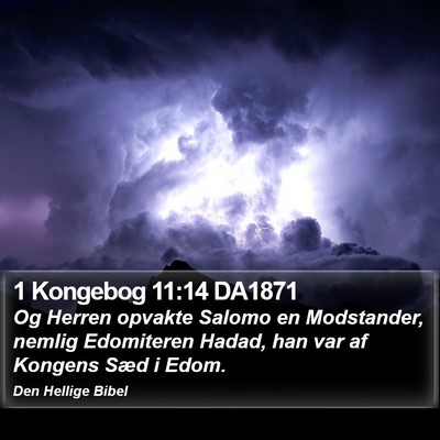 1 Kongebog 11:14 DA1871 Bible Verse Image