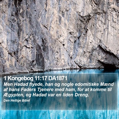 1 Kongebog 11:17 DA1871 Bible Verse Image