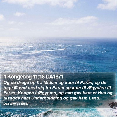 1 Kongebog 11:18 DA1871 Bible Verse Image